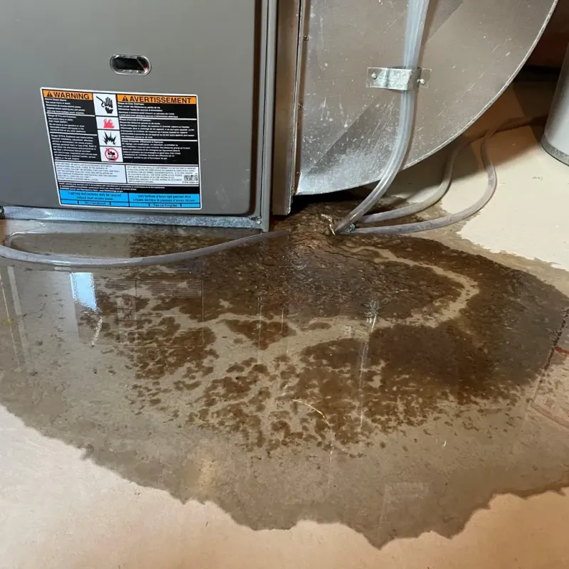 Appliance Leak Cleanup in Cumberland County, NC